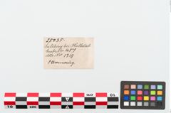 Etiketten zu Bronzeperlarmreif (NHMW-PRAE-025035)